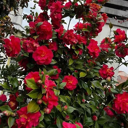 Giresio 41 - Your Penthouse With Rooftop Garden In Navigli - Wifi Apartament